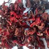 Raw dried hibiscus